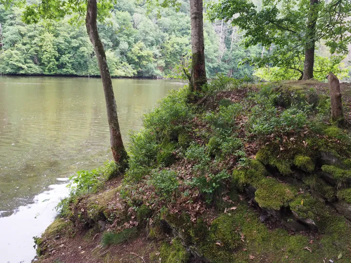 Coulnifontaine (Belgium) (confluence western and eastern Ourthe)